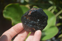 Natural Black Tourmaline Cobbed Specimens x 20 From Zimbabwe