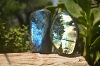 Polished Labradorite Standing Free Forms x 2 From Madagascar