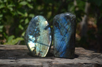 Polished Labradorite Standing Free Forms x 2 From Madagascar