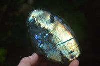 Polished Labradorite Standing Free Forms x 2 From Madagascar