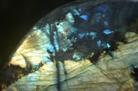 Polished Labradorite Standing Free Forms x 2 From Madagascar