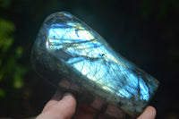 Polished Labradorite Standing Free Forms x 2 From Madagascar