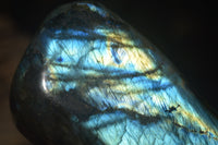 Polished Labradorite Standing Free Forms x 2 From Madagascar