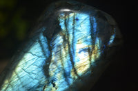 Polished Labradorite Standing Free Forms x 2 From Madagascar