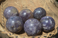 Polished Lepidolite with Pink Rubellite Spheres x 6 From Ambatondrazaka, Madagascar