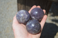 Polished Lepidolite with Pink Rubellite Spheres x 6 From Ambatondrazaka, Madagascar