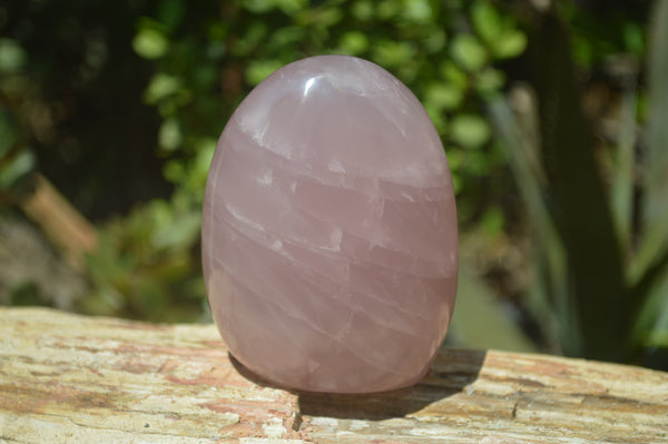 Polished Rose Quartz Standing Free Forms x 4 From Madagascar