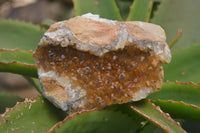 Natural Limonite Quartz Clusters x 5 From Solwezi, Zambia