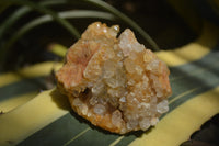 Natural Limonite Quartz Clusters x 5 From Solwezi, Zambia