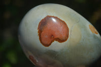 Polished On One Side Polychrome Jasper x 4 From Mahajanga, Madagascar