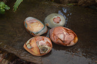 Polished On One Side Polychrome Jasper x 4 From Mahajanga, Madagascar