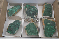 Natural Botryoidal Malachite Specimens x 6 From Tenke Fungurume, Congo