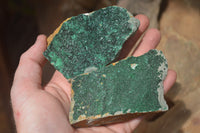 Natural Botryoidal Malachite Specimens x 6 From Tenke Fungurume, Congo