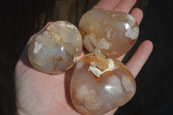 Polished Flower Agate Gemstone Hearts x 6 From Madagascar