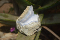 Natural Blue Lace Agate Geode Specimens x 6 From Malawi