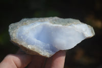 Natural Blue Lace Agate Geode Specimens x 6 From Malawi