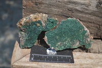 Natural Botryoidal Malachite Specimens x 6 From Tenke Fungurume, Congo