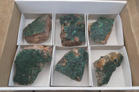 Natural Botryoidal Malachite Specimens x 6 From Tenke Fungurume, Congo