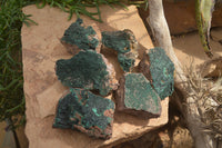 Natural Botryoidal Malachite Specimens x 6 From Tenke Fungurume, Congo