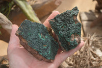 Natural Botryoidal Malachite Specimens x 6 From Tenke Fungurume, Congo