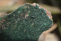 Natural Botryoidal Malachite Specimens x 6 From Tenke Fungurume, Congo