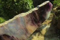 Polished Watermelon Fluorite Slices x 6 From Uis, Namibia