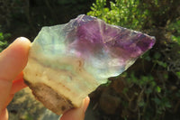 Polished Watermelon Fluorite Slices x 6 From Uis, Namibia