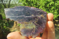 Polished Watermelon Fluorite Slices x 6 From Uis, Namibia