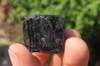 Natural Alluvial Schorl Black Tourmaline Crystals x 1.9 Kg Lot From Zimbabwe