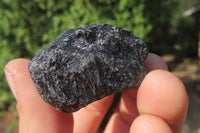 Natural Alluvial Schorl Black Tourmaline Crystals x 1.9 Kg Lot From Zimbabwe