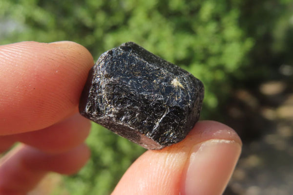 Natural Alluvial Schorl Black Tourmaline Crystals x 1.9 Kg Lot From Zimbabwe