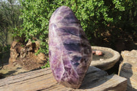 Polished Smokey Chevron Amethyst Standing Free Form x 1 From Madagascar