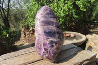 Polished Smokey Chevron Amethyst Standing Free Form x 1 From Madagascar