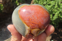 Polished Polychrome Jasper Hearts x 6 From Madagascar