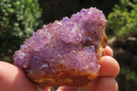 Natural Amethystos Amethyst Specimens x 6 From Kwaggafontein, South Africa