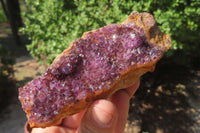 Natural Amethystos Amethyst Specimens x 6 From Kwaggafontein, South Africa