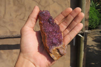 Natural Amethystos Amethyst Specimens x 6 From Kwaggafontein, South Africa