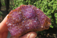 Natural Amethystos Amethyst Specimens x 6 From Kwaggafontein, South Africa