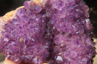 Natural Amethystos Amethyst Specimens x 6 From Kwaggafontein, South Africa