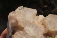 Natural Cascading Smokey Quartz Clusters x 2 From Luena, Congo