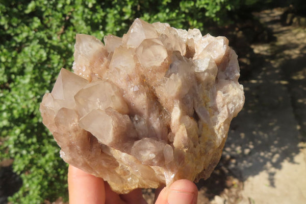 Natural Cascading Smokey Quartz Clusters x 2 From Luena, Congo