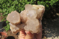 Natural Cascading Smokey Quartz Clusters x 2 From Luena, Congo