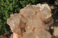 Natural Cascading Smokey Quartz Clusters x 2 From Luena, Congo