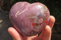 Polished Red Podocarpus Petrified Wood Hearts x 2 From Madagascar