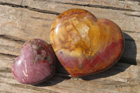 Polished Red Podocarpus Petrified Wood Hearts x 2 From Madagascar