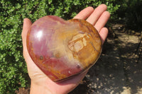 Polished Red Podocarpus Petrified Wood Hearts x 2 From Madagascar