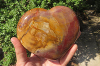 Polished Red Podocarpus Petrified Wood Hearts x 2 From Madagascar