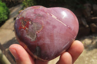 Polished Red Podocarpus Petrified Wood Hearts x 2 From Madagascar