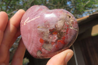 Polished Red Podocarpus Petrified Wood Hearts x 2 From Madagascar