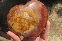 Polished Red Podocarpus Petrified Wood Hearts x 2 From Madagascar